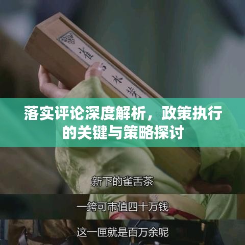 落实评论深度解析，政策执行的关键与策略探讨