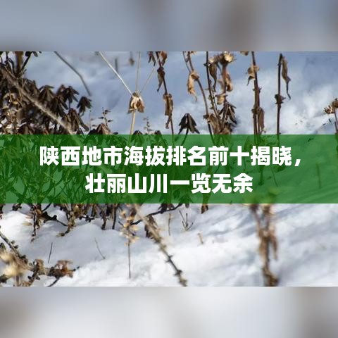 陕西地市海拔排名前十揭晓，壮丽山川一览无余