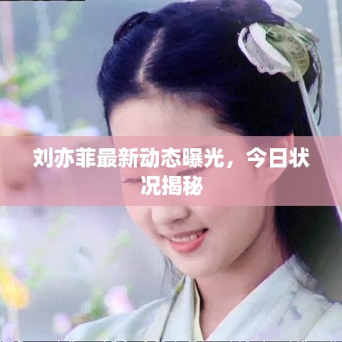 刘亦菲最新动态曝光，今日状况揭秘