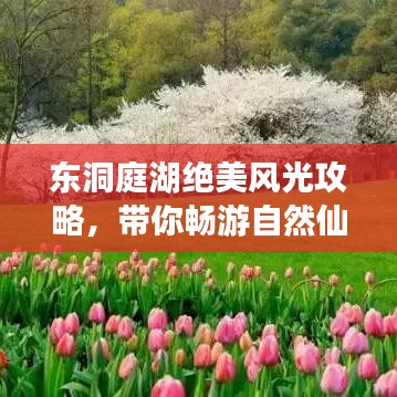 东洞庭湖绝美风光攻略，带你畅游自然仙境！