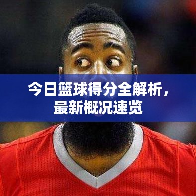 今日篮球得分全解析，最新概况速览