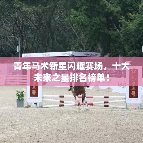 青年马术新星闪耀赛场，十大未来之星排名榜单！