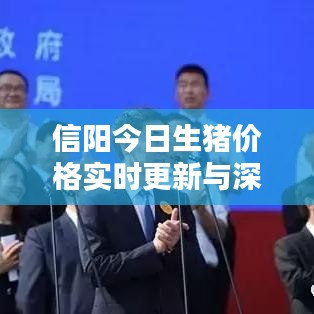 信阳今日生猪价格实时更新与深度分析