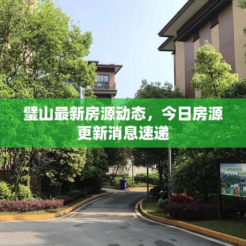 璧山最新房源动态，今日房源更新消息速递