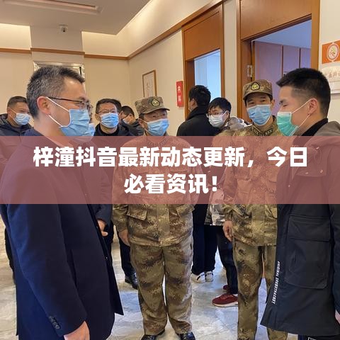 bdf软件官方下载同大唐无双激活码邀请,实地验证数据分析|QHD版_v6.114