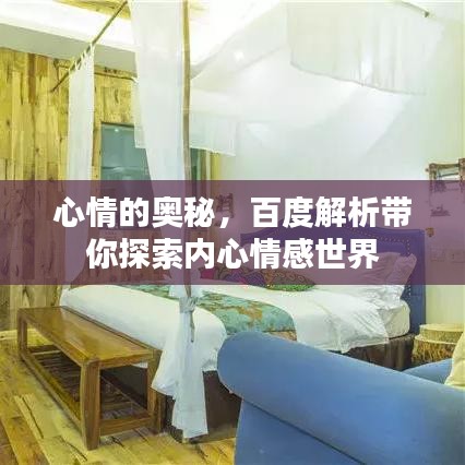 心情的奥秘，百度解析带你探索内心情感世界