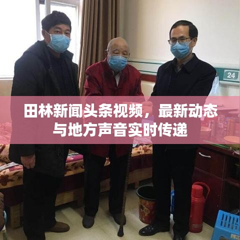 田林新闻头条视频,最新动态与地方声音实时传递