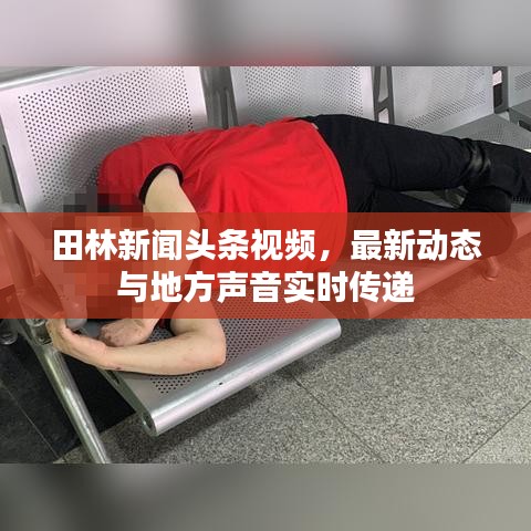 田林新闻头条视频,最新动态与地方声音实时传递