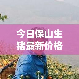 今日保山生猪最新价格及全国市场走势，影响因素揭秘