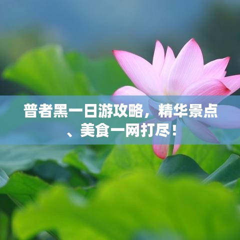 普者黑一日游攻略，精华景点、美食一网打尽！