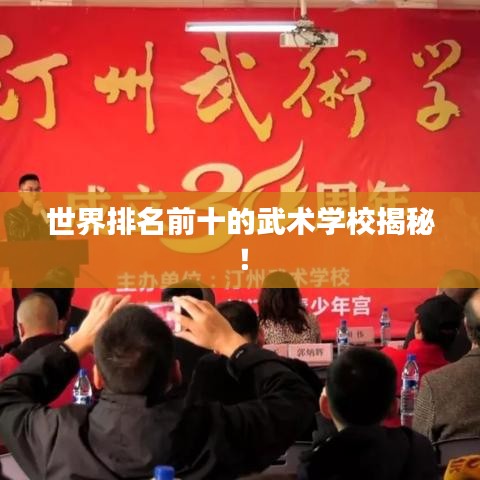 世界排名前十的武术学校揭秘！