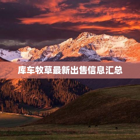 半新不旧 第2页