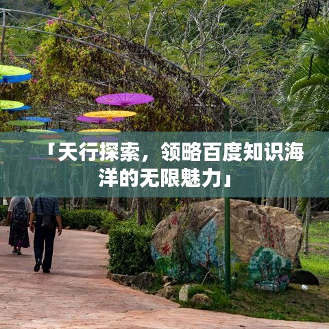 「天行探索，领略百度知识海洋的无限魅力」