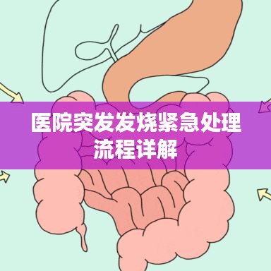 医院突发发烧紧急处理流程详解