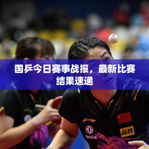 qq斗地主 单机版跟西瓜直播官方下载,数据驱动计划解析 app_v6.472