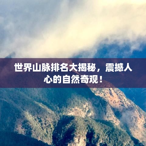 草率收兵 第7页