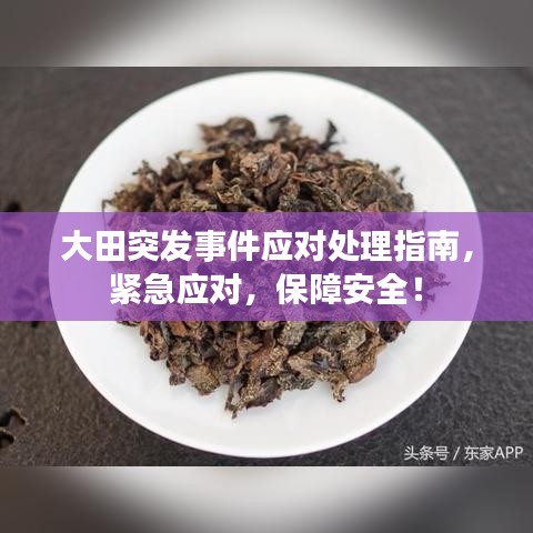 大田突发事件应对处理指南，紧急应对，保障安全！