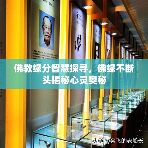 失落城堡下载官方同pdf水印清理激活码,数据资料解释定义 suite_v5.580