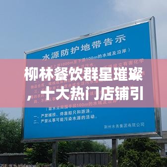柳林餐饮群星璀璨，十大热门店铺引领美食风尚