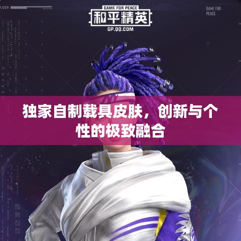 独家自制载具皮肤,创新与个性的极致融合