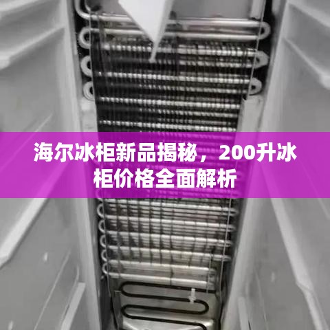 海尔冰柜新品揭秘，200升冰柜价格全面解析