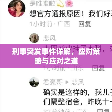 刑事突发事件详解，应对策略与应对之道