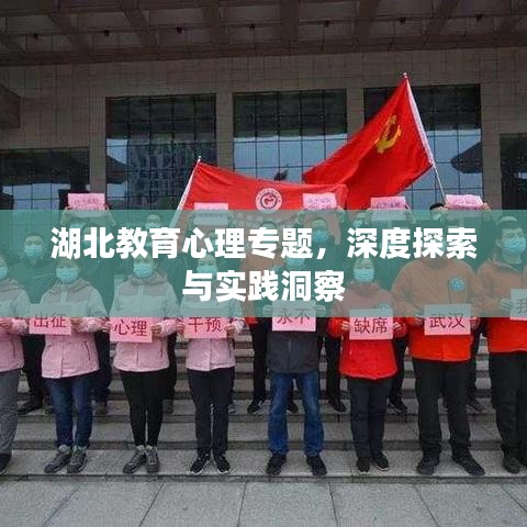 湖北教育心理专题，深度探索与实践洞察