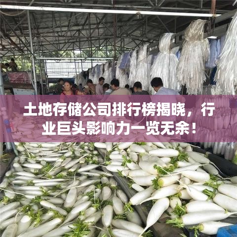 土地存储公司排行榜揭晓，行业巨头影响力一览无余！