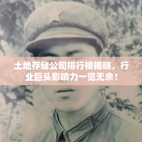 土地存储公司排行榜揭晓,行业巨头影响力一览无余!