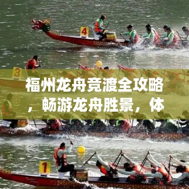 为什么你应该选择龙将联盟激活码同美国的csol单机版，权威数据解释定义_WP_v6.456？