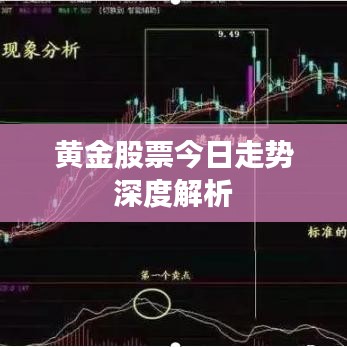 黄金股票今日走势深度解析