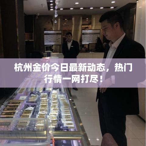 杭州金价今日最新动态，热门行情一网打尽！
