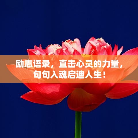 励志语录，直击心灵的力量，句句入魂启迪人生！