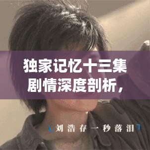 独家记忆十三集剧情深度剖析，揭秘精彩转折与情感纠葛