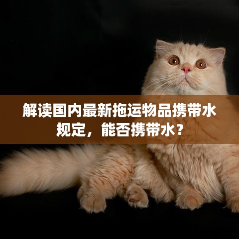 解读国内最新拖运物品携带水规定，能否携带水？