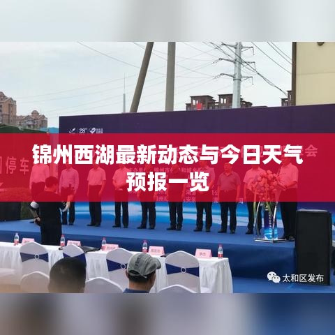 锦州西湖最新动态与今日天气预报一览
