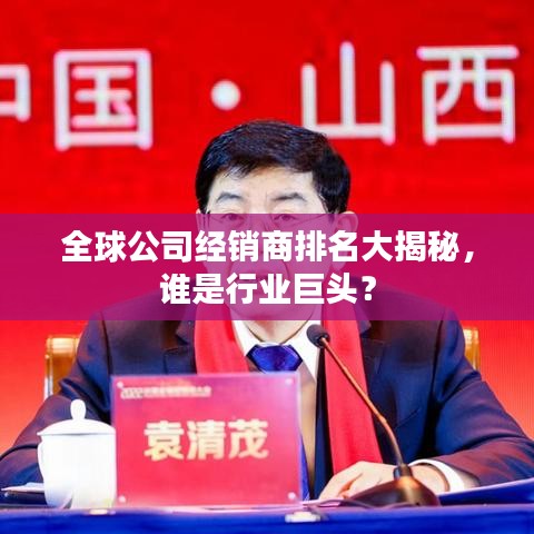 全球公司经销商排名大揭秘，谁是行业巨头？