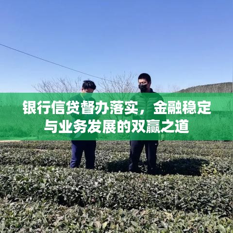 银行信贷督办落实，金融稳定与业务发展的双赢之道