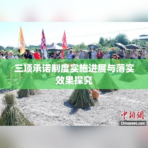 三项承诺制度实施进展与落实效果探究
