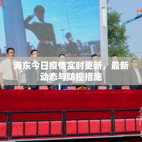海东今日疫情实时更新,最新动态与防控措施