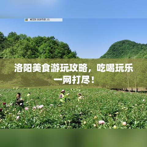 洛阳美食游玩攻略，吃喝玩乐一网打尽！