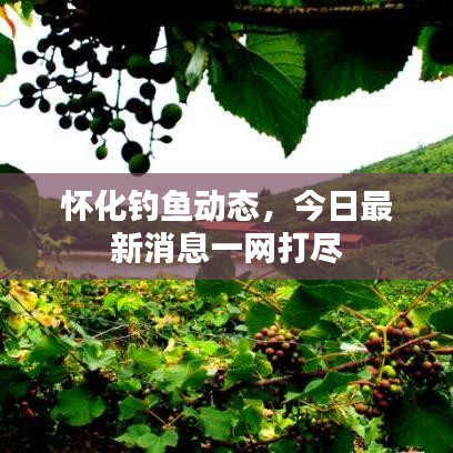 怀化钓鱼动态，今日最新消息一网打尽