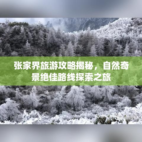 回收案例 第117页