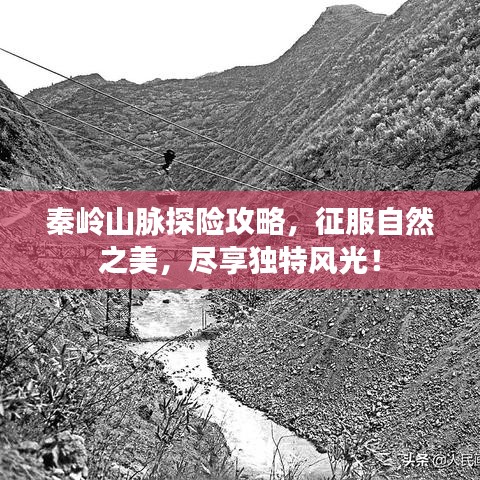 秦岭山脉探险攻略，征服自然之美，尽享独特风光！