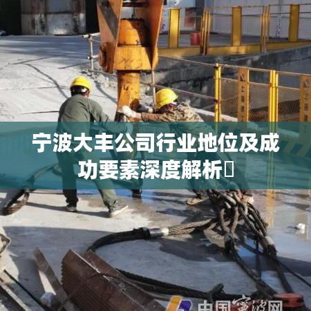 宁波大丰公司行业地位及成功要素深度解析​