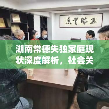 湖南常德失独家庭现状深度解析,社会关怀的迫切需求