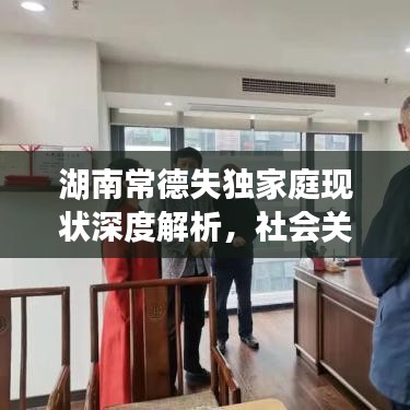 湖南常德失独家庭现状深度解析,社会关怀的迫切需求
