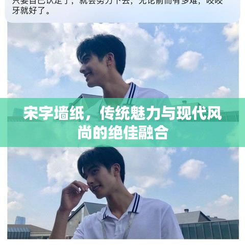 宋字墙纸，传统魅力与现代风尚的绝佳融合