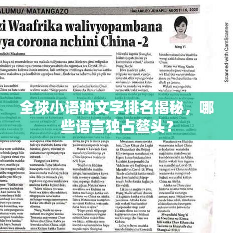 全球小语种文字排名揭秘，哪些语言独占鳌头？