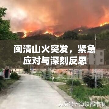 闽清山火突发，紧急应对与深刻反思